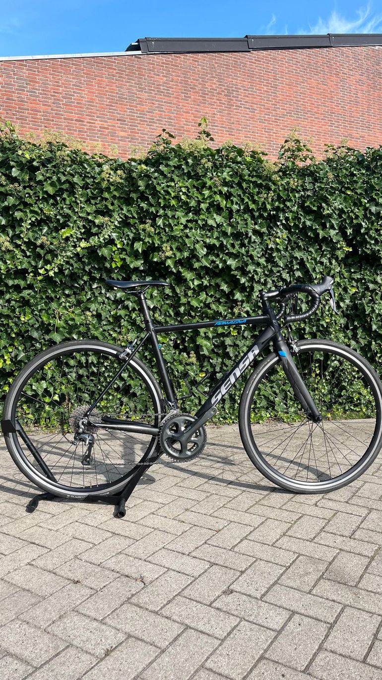 Used Sensa Romagna Tiagra 2023 2023 Road & Gravel, Black — image 5 of 7