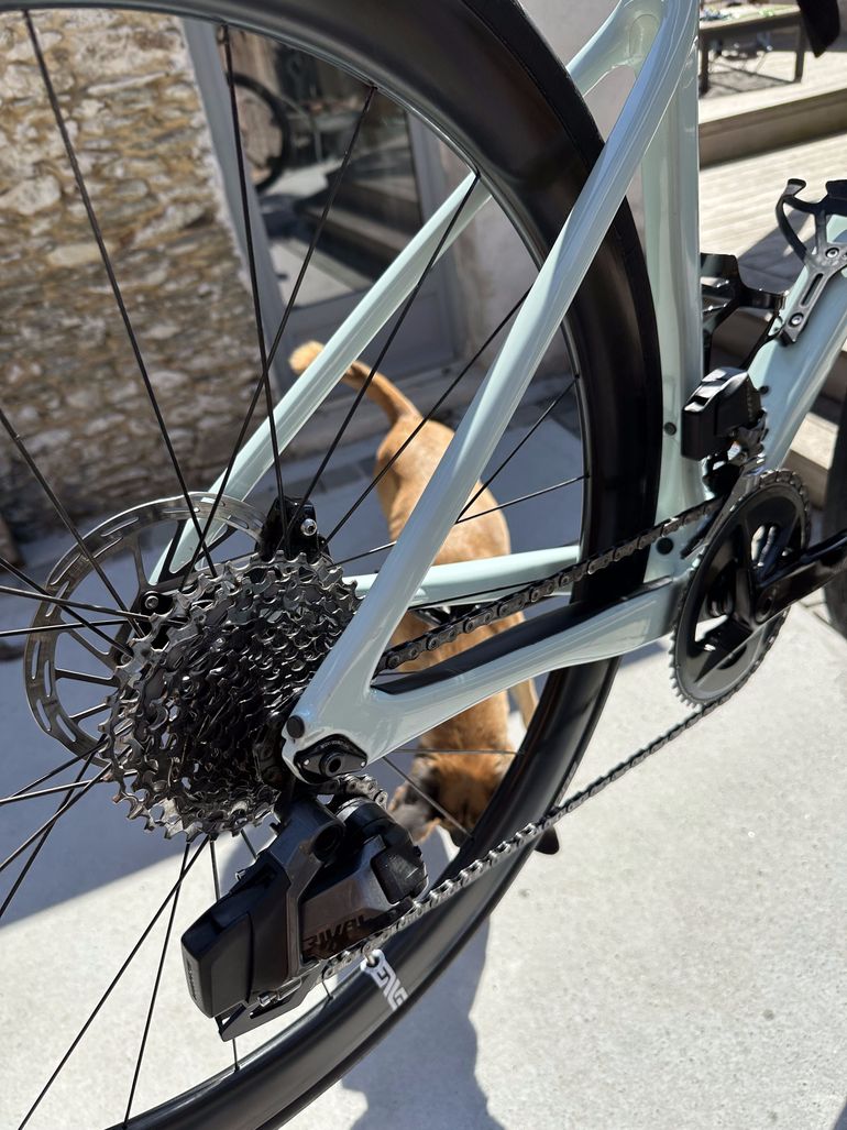 Used Cannondale SuperSix EVO SE 2023 2023 Road & Gravel, Green — image 11 of 27