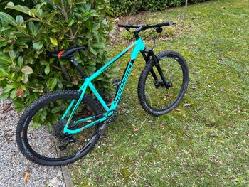 Used Megamo NATURAL ELITE EAGLE 07 2021 2021 MTB