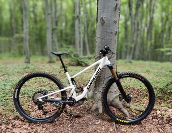 Used Santa Cruz Tallboy XT / Carbon C / 29 2021 2021 MTB
