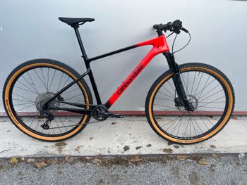 Used Cannondale Scalpel HT Carbon 4 2023 2023 MTB