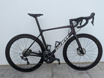 Giant, TCR Advanced Pro 1 Disc 2021