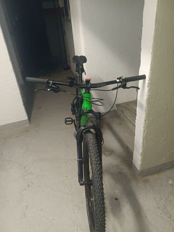Used Cannondale Trail SL 3 2024 2024 Mountainbike, Green, 29 — image 6 of 10