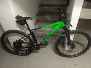 Used Cannondale Trail SL 3 2024 2024 Mountainbike, Green, 29 — image 1 of 10