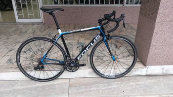 Used Focus Cayo 2016 2016 Road & Gravel