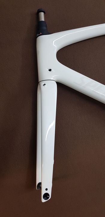Used Specialized Roubaix SL8 Frameset Frameset 2024 Road & Gravel, White — image 3 of 11