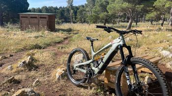 YT Industries, Decoy CORE 3 MX 2022