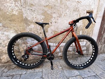 Used Salsa Dead Wood 2019 Road & Gravel