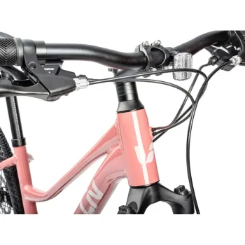 Used Liv Rove 4 2023 Mountainbike, Red — image 2 of 4