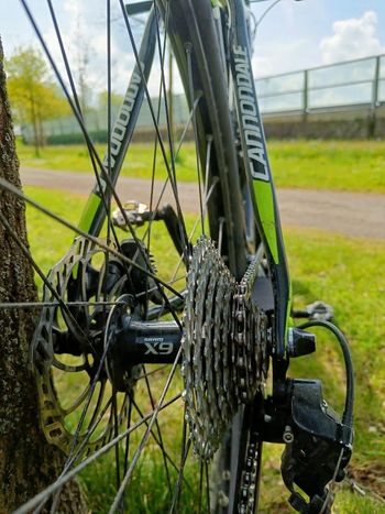 Used Cannondale MTB Hardtail 2021 MTB