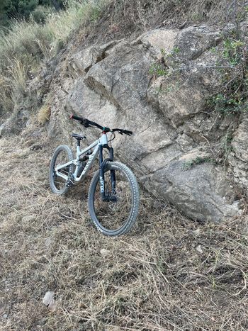 Used Canyon Torque Mullet Al 7 2024 2024 MTB