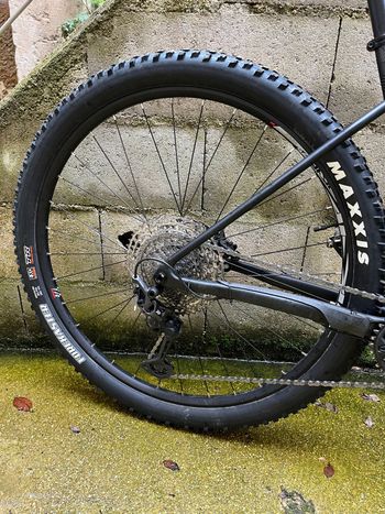 Used Lapierre Prorace 5.9 2024 2024 Mountainbike, Black, 29 — image 3 of 8