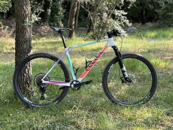 Used Canyon Exceed CF 6 2022 2022 MTB