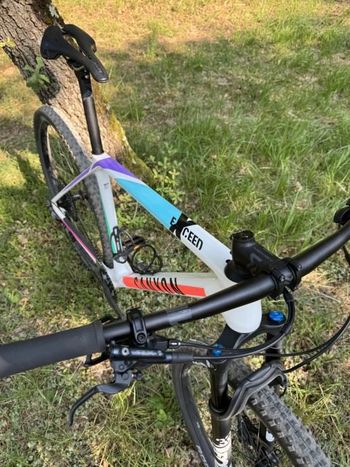 Used Canyon Exceed CF 6 2022 2022 Mountainbike, White, 29 — image 3 of 6