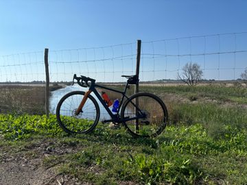 Brugt Orbea Terra Campagnolo Ekar 2023 Road & Gravel — billede 2 af 4