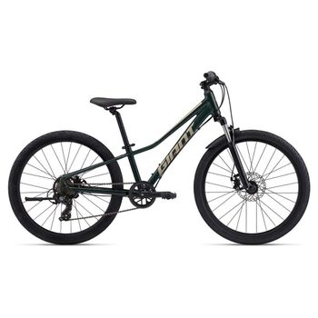 Giant, Giant Talon 24 Disc