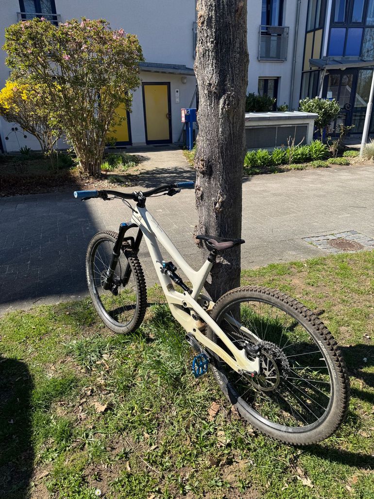 Used YT Industries CAPRA Comp 29 2020 2020 Mountainbike, Light Gray, 29 — image 3 of 3