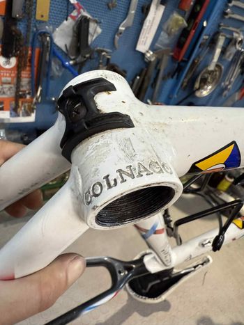 Used Colnago Active Plus Frameset 2006 Road & Gravel, White — image 4 of 15