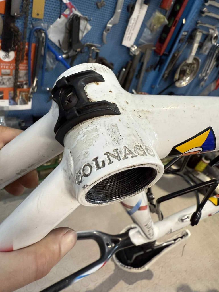 Used Colnago Active Plus Frameset 2006 Road & Gravel, White — image 4 of 15