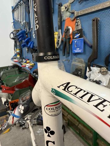 Used Colnago Active Plus Frameset 2006 Road & Gravel, White — image 6 of 15