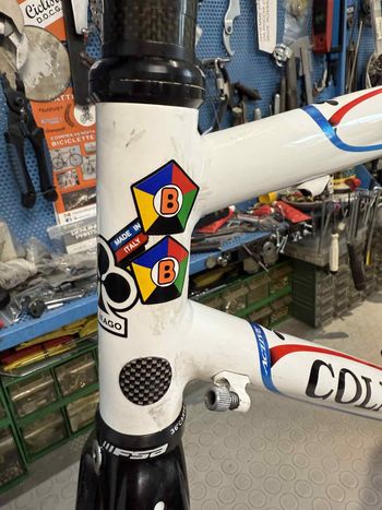 Used Colnago Active Plus Frameset 2006 Road & Gravel, White — image 7 of 15