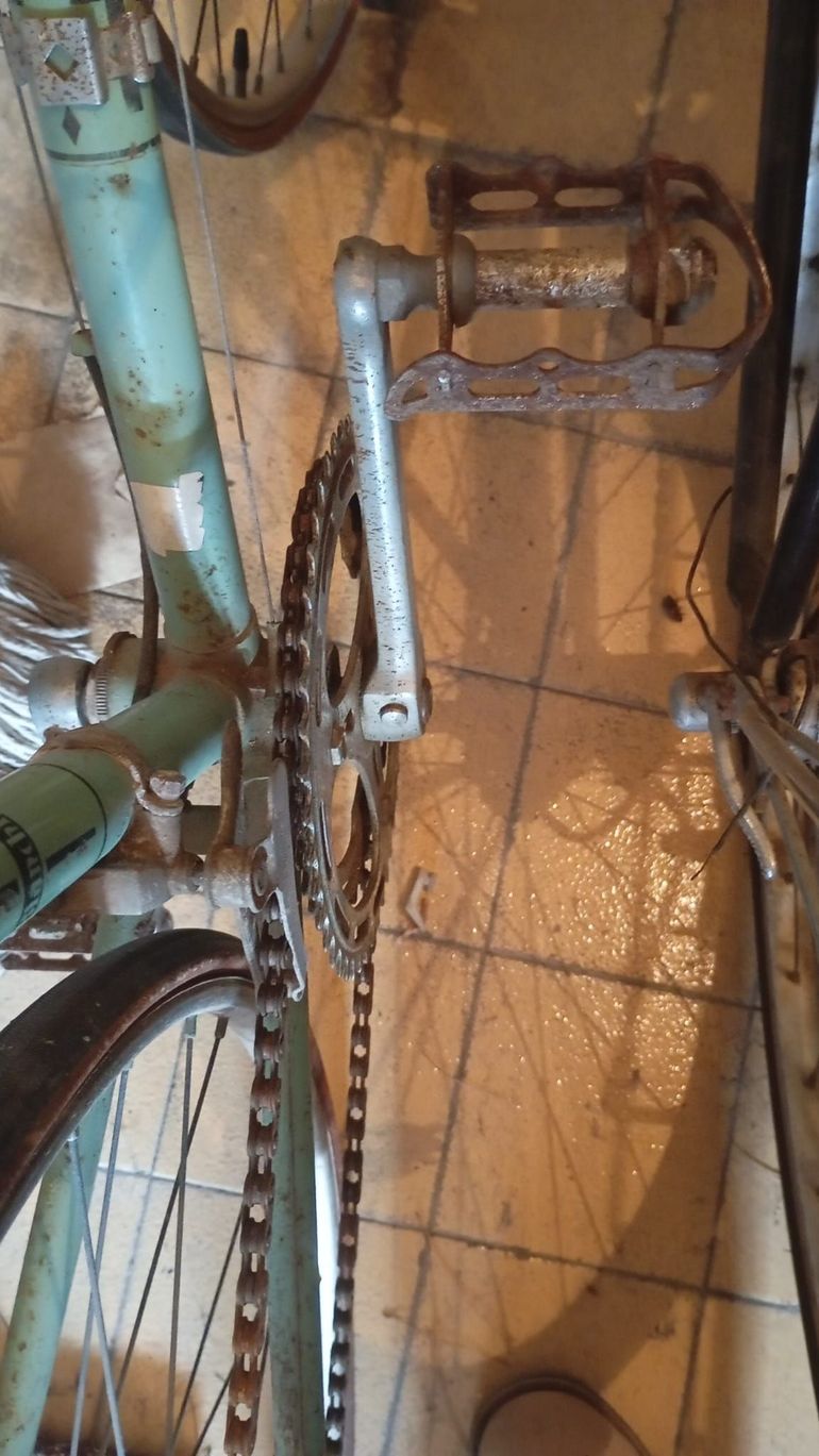 Used Bianchi Via Campagnolo Ekar 1970 Road & Gravel, Green — image 9 of 13