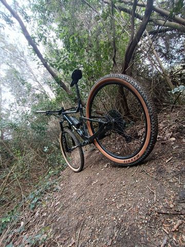 Used Scott Spark RC 900 Team 2021 2021 Mountainbike, Black, 29 — image 3 of 14