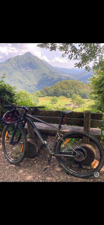 Used Cannondale Trail SL 1 2023 2023 Mountainbike, Black, 29 — image 3 of 3