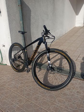 Used Protek V9c 2020 MTB
