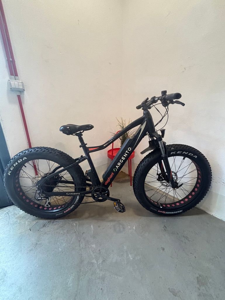 Electric Bike Company Elephant Argento 2024