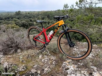 Gebrauchtes Trek Procaliber 9.5 2021 Mountainbike, Rot — Bild 5 von 5