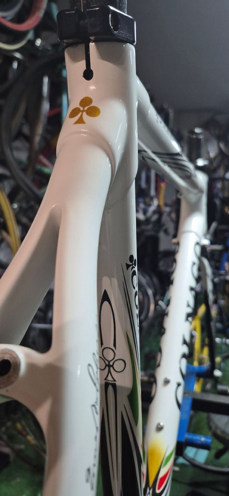 Used Colnago Eps 2010 Road & Gravel, White — image 11 of 11