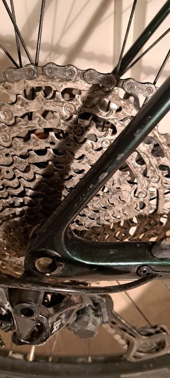 Used Scott Scale 930 2021 2021 Mountainbike, Green, 29 — image 2 of 11