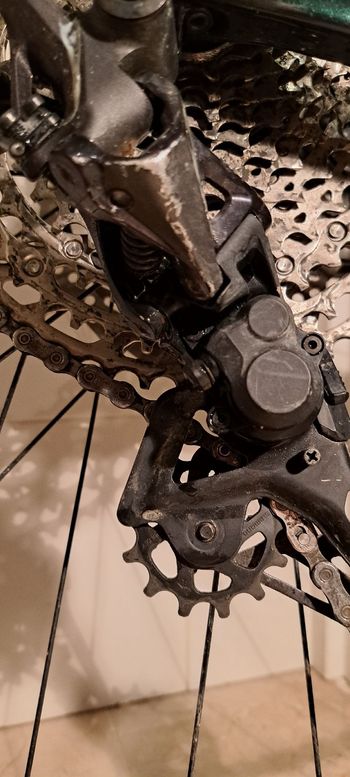 Used Scott Scale 930 2021 2021 Mountainbike, Green, 29 — image 3 of 11