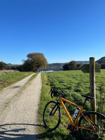 Tweedehands Cannondale Topstone 4 2023 Road & Gravel — afbeelding 3 van 5