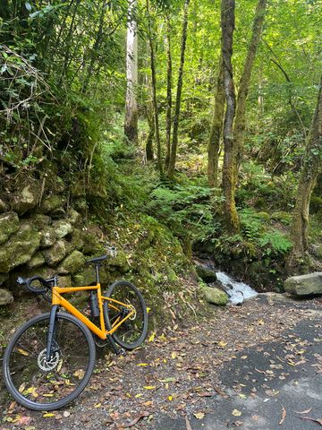 Tweedehands Cannondale Topstone 4 2023 Road & Gravel — afbeelding 4 van 5