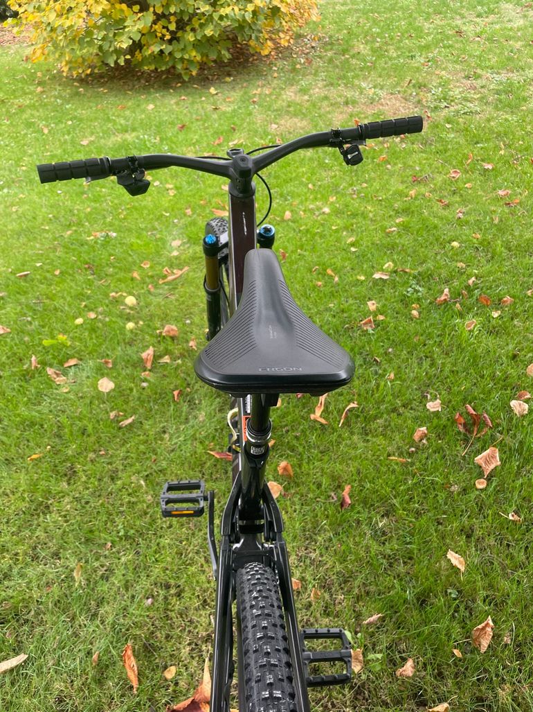Used Canyon Neuron CF LTD 2024 2024 Mountainbike, Light Gray, 29 — image 6 of 8