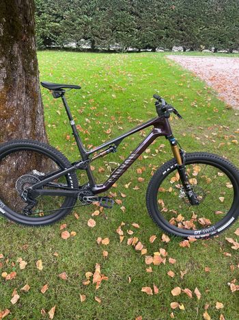 Used Canyon Neuron CF LTD 2024 2024 MTB