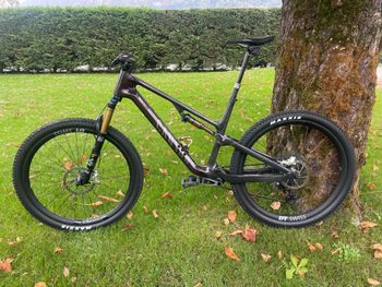 Used Canyon Neuron CF LTD 2024 2024 Mountainbike, Light Gray, 29 — image 2 of 8