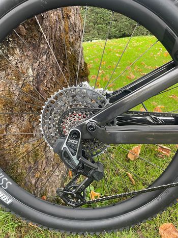 Used Canyon Neuron CF LTD 2024 2024 Mountainbike, Light Gray, 29 — image 4 of 8