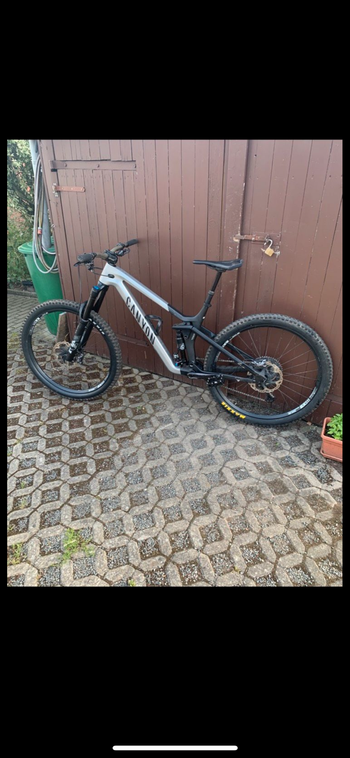 Used Canyon Strive CFR Underdog 2024 2024 MTB