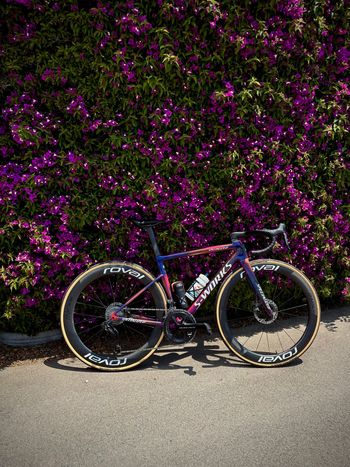 Used Specialized Tarmac Shimano Dura Ace Di2 2024 Road & Gravel