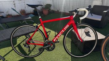Used Focus IZALCO RACE 9.8 2019 2019 Road & Gravel