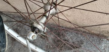 Used Colnago Mexico 1974 Road & Gravel, Blue — image 8 of 8