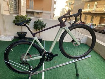 Used Focus IZALCO MAX 8.8 2024 2024 Road & Gravel