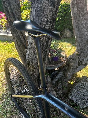 Used CUBE ACCESS WS C:62 Pro 29 2018 2018 Mountainbike, Black, 29 — image 8 of 11