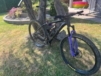 Used CUBE ACCESS WS C:62 Pro 29 2018 2018 MTB