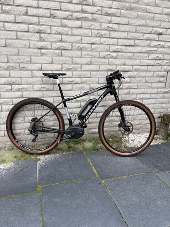 Used Cannondale Tramount 2019 MTB