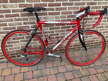 Used Opera Bernini 1999 Road & Gravel — image 2 of 7