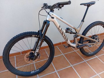 Used Canyon Spectral CF 8 K.I.S. 2023 2023 Mountainbike, Light Gray, 29, 27.5 — image 2 of 15